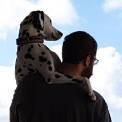 ChrisMason's avatar