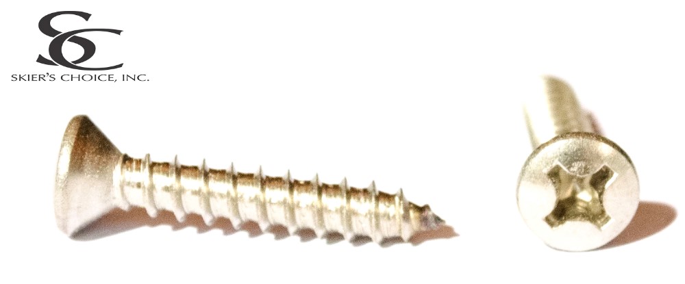 Screw, 12 x 1-1/4\" PO TA SS