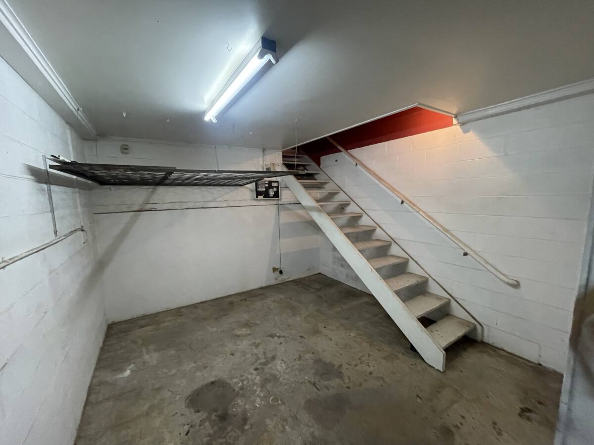 266B Manukau Road Epsom_5