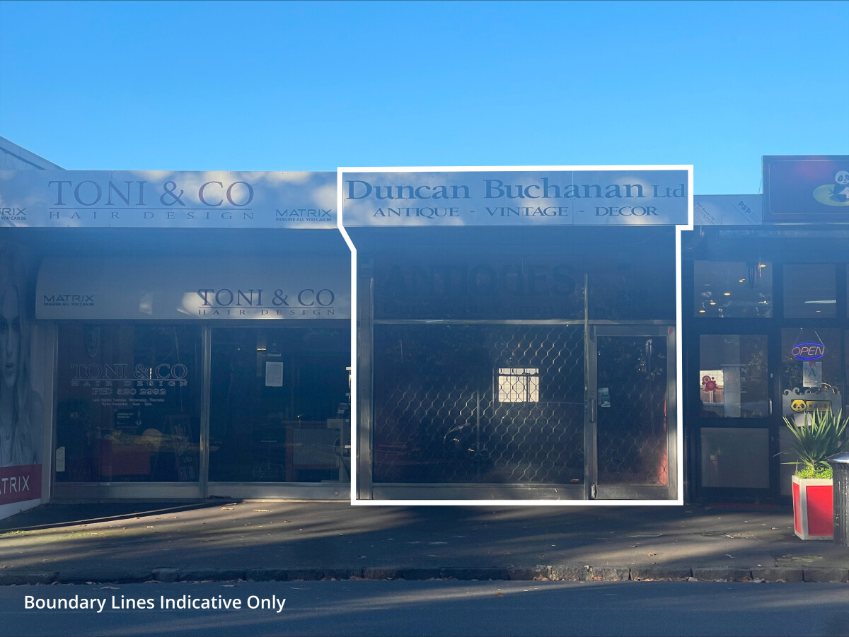 266B Manukau Road Epsom_0