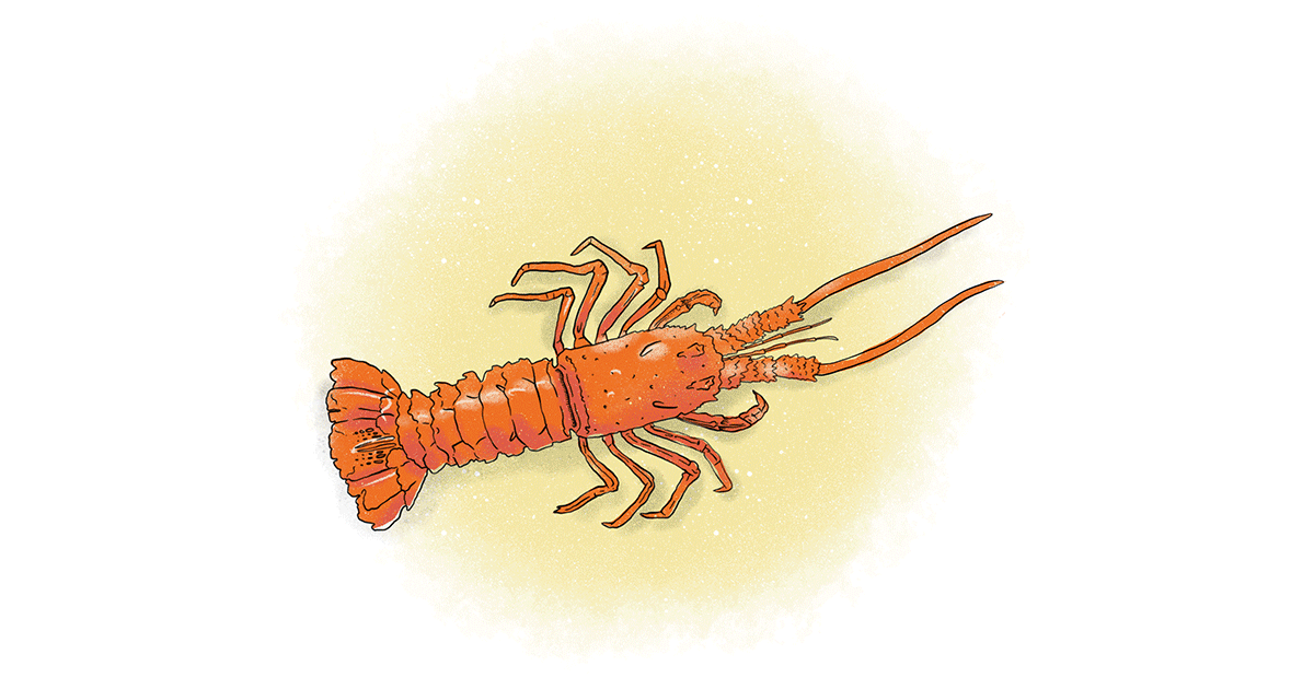 Why You Should Order Lobster This Month Meritales