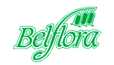 Belflora (Demo 23/4/21)