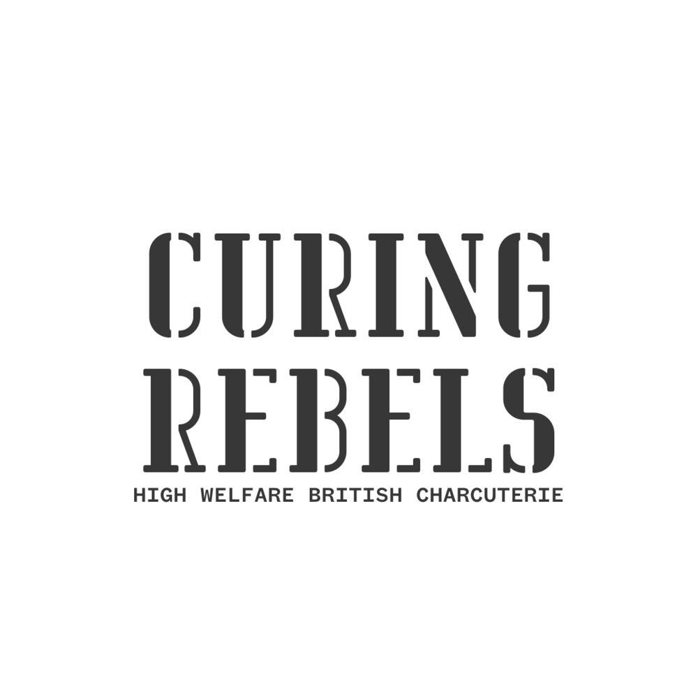 Curing Rebels