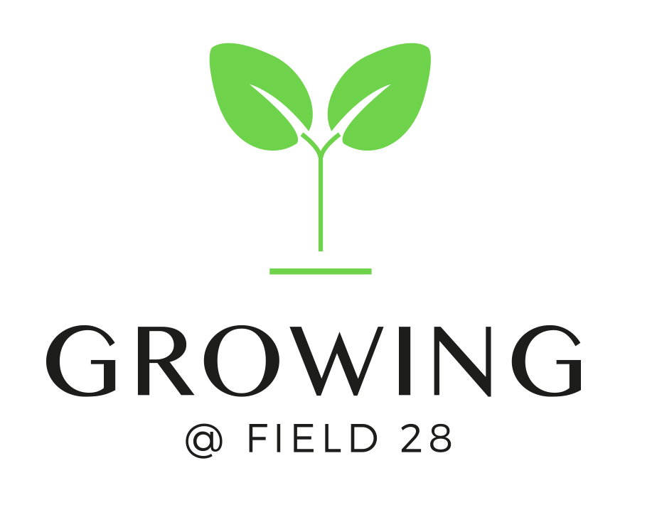 Growing @ Field 28