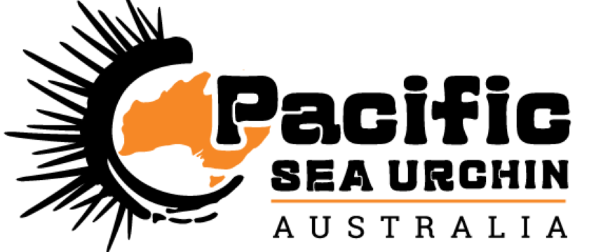 Pacific Sea Urchin