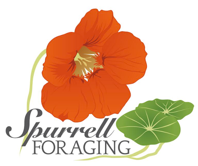 Spurrell Foraging