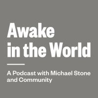 Awake in the World Podcast cover