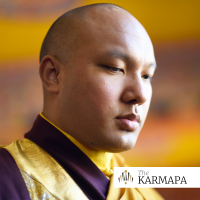 Karmapa - Selected Talks on Buddhism, Philosophy, and Meditation. cover