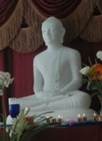 TGN Dhamma cover
