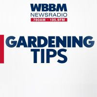 Gardening Tips on WBBM Newsradio cover