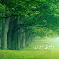 واحتي مع ربي cover