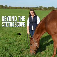 Beyond The Stethoscope cover