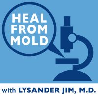 Heal From Mold cover
