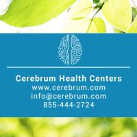 Latest Brain News with Experts cover