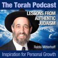 The Torah Podcast - Authentic Judaism cover