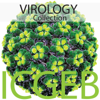 Virology cover