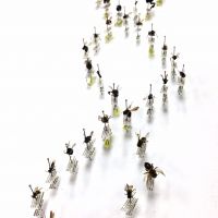 Nature and Nurture cover
