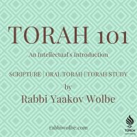 TORAH 101 - By Rabbi Yaakov Wolbe cover