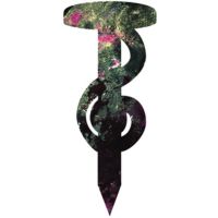 LaParaulaClau cover
