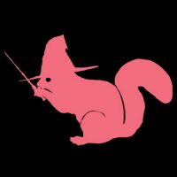 Magic Squirrel Network cover