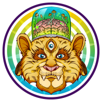 Adventures Through The Mind cover