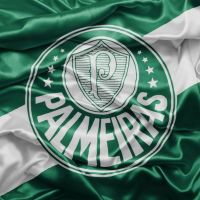 Verde no Branco cover