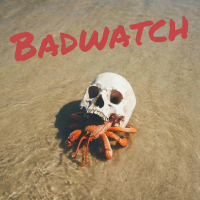 Badwatch cover