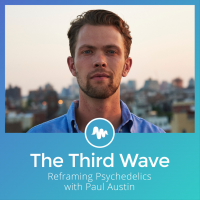 The Third Wave cover
