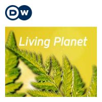 Living Planet | Deutsche Welle cover
