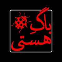 باگ هستی cover