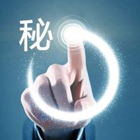 Secret History 秘史里的故事 cover