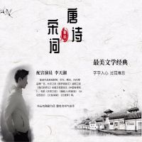 诗词入梦系列:唐诗三百首 cover