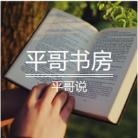 平哥书房 cover
