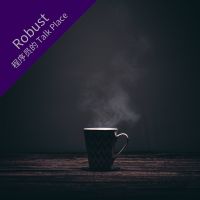 Robust: 程序员的 TALK PLACE cover