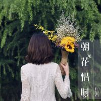 朝花惜时 cover
