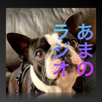 天野ラジオ cover