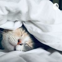 ふじもったの睡眠導入チャンネル cover