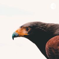 ۴ تکنیک افزایش تمرکز cover