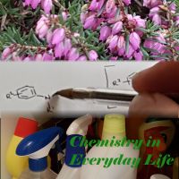 Chemistry in Everyday Life cover