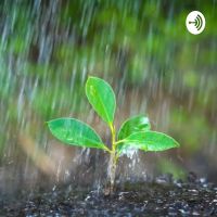 relaxing sound Of Nature cover