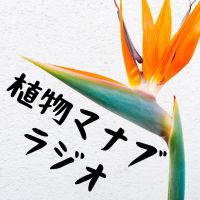 植物マナブラジオ cover