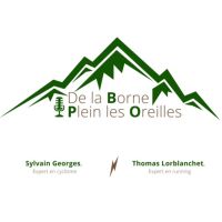 De la borne plein les oreilles cover
