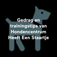 Gedrag en trainingstips van Hondencentrum Heeft Een Staartje cover