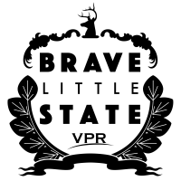 Brave Little State cover