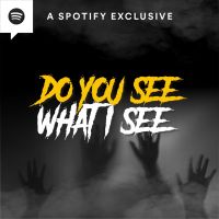 Do You See What I See? cover