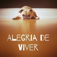 Alegria de Viver cover