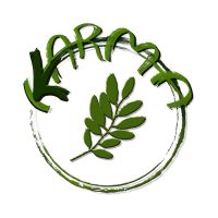 KARMA کارما cover