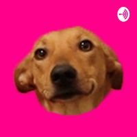 Os Animais Também Falam cover
