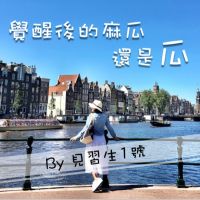 覺醒後的麻瓜還是瓜 cover