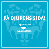 På djurens sida! cover